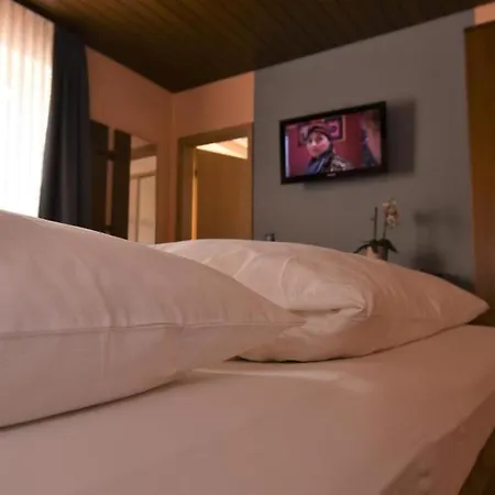 Hotel Landgasthof Gruener Baum Regnitzlosau