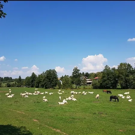 Landgasthof Gruener Baum Hotell *