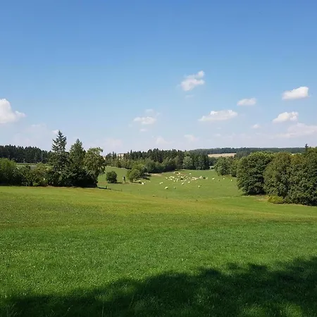 Landgasthof Gruener Baum *