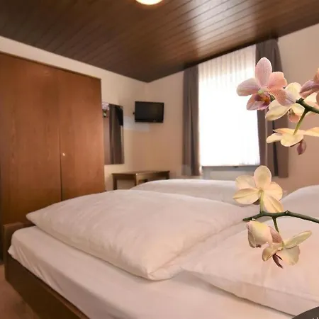 Hotell Landgasthof Gruener Baum *