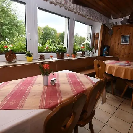 Landgasthof Gruener Baum Hotell *