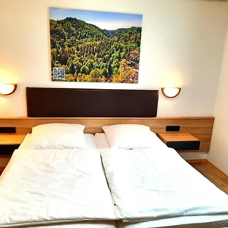 Hotell Landgasthof Gruener Baum *