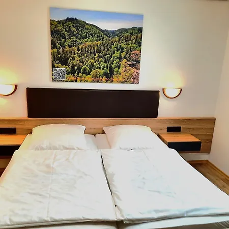 Landgasthof Gruener Baum Hotel *