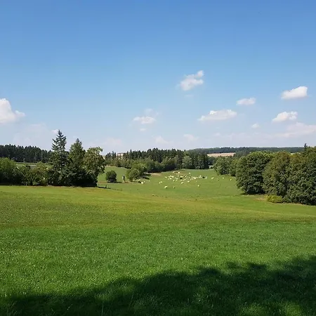 Landgasthof Gruener Baum *