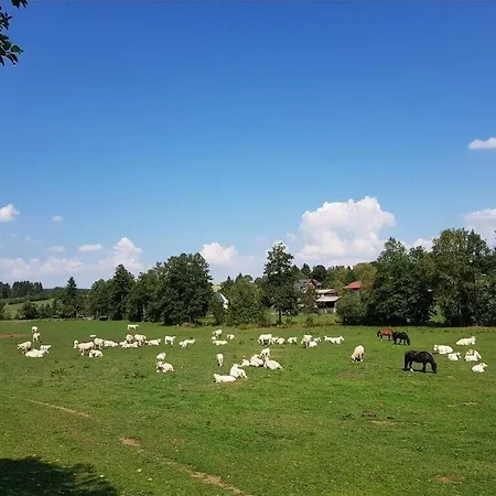 Hotel Landgasthof Gruener Baum