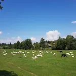 ホテル Landgasthof Gruener Baum