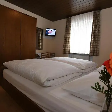 Hotel Landgasthof Gruener Baum Regnitzlosau