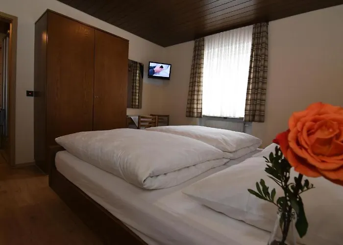 Hotel Landgasthof Gruener Baum Regnitzlosau