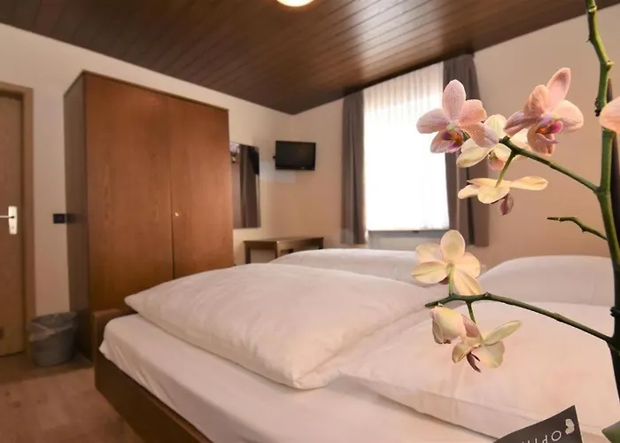 Hotel Landgasthof Gruener Baum *