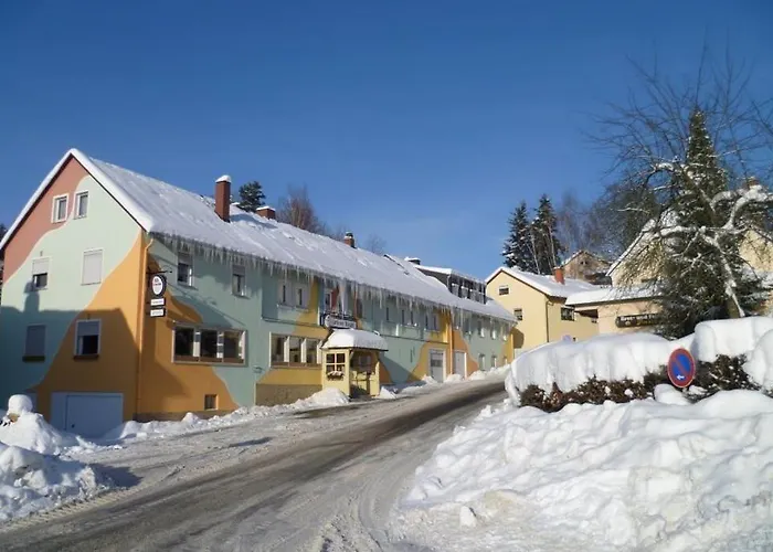 Landgasthof Gruener Baum Hotel *