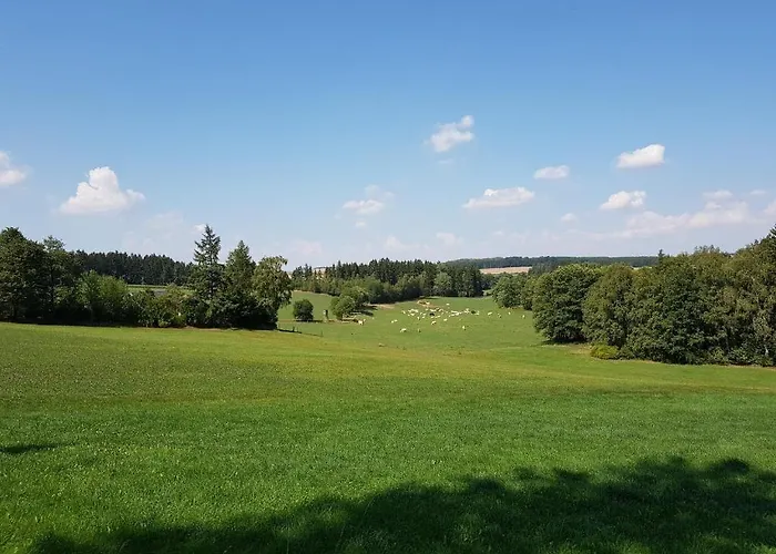 Landgasthof Gruener Baum *