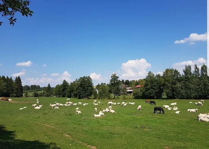 Hotel Landgasthof Gruener Baum